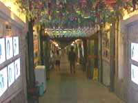 你怎么看：开车如何避免“手机控”？