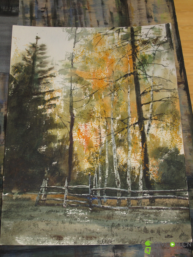 陈锡岩 彩话青岛