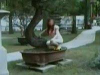亲密“恋人”