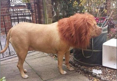 新闻17点:国内油价将迎五连跌 青岛打造环保执