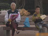 重阳节：送您一束康乃馨