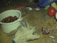 校外小吃卫生堪忧 餐饮安全需把关