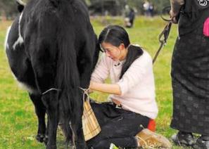 娱乐联盟播报