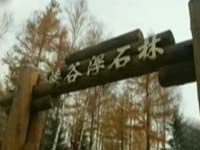旅游乱象大揭秘