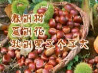亚麦山城小区窗外垃圾成堆 居民很闹心
