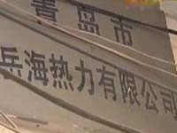 路树青：《生活在线》过14岁生日