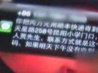 瑶瑶去哪了