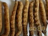 绝壁仙草