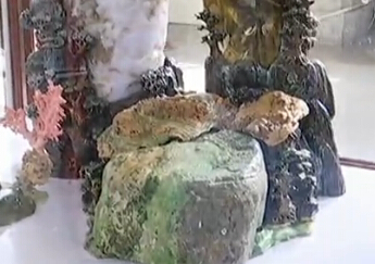 温馨提示：奇石展 开眼界