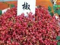 汽车小病大修怎么办？