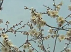 温馨提示