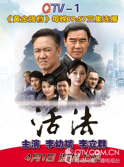 著名导演黄力加执导,李幼斌,李立群,何赛飞等主演的电视剧《活法》