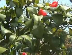 温馨提示：登山节开始啦