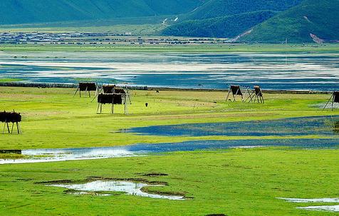 草原：水草丰美感受民族风情