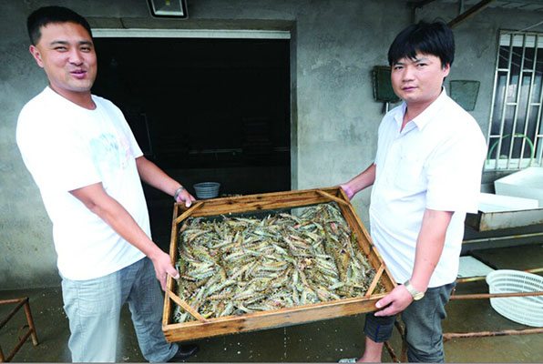 即墨海鲜市场_海鲜市场_海南海鲜市场(3)