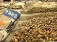 食安抽检：贝类重金属超标