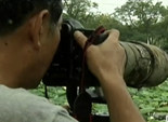 盛夏“打鸟”季 拍客摄影忙