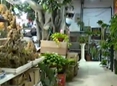 你养我长大 我陪你变老