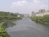 导视
