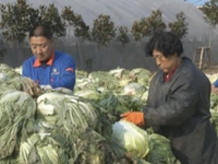 微调查：独居老人怎样缓解孤独？