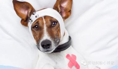 与你有关!病假今年起要这么休_医疗期 病假 