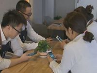 微调查：如何甄别网络谣言