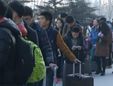 菜篮子：蔬菜价格小幅波动 猪肉价格上涨
