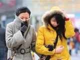 岛城进入“速冻模式”