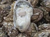 我交的保险去哪了？
