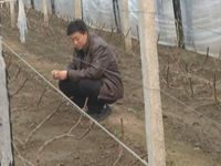 微调查：楼市政策放宽，您有何打算？