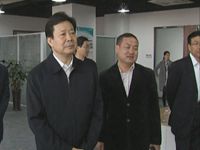 导视