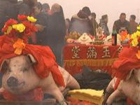 微调查：“网络善款”该如何监管？