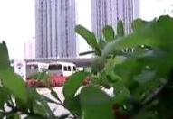 气温一路走高 冬装可别急着脱