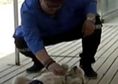 探访宠物殡仪馆
