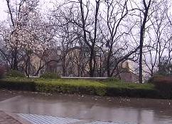 久旱逢甘霖 一场及时雨减缓青岛旱情