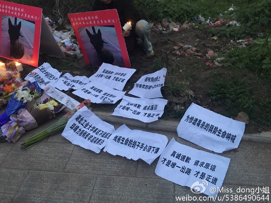 高校保安撞狗护学生 爱狗人士堵校门示威_爱狗