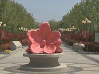 微调查：说说办公室里的那些事