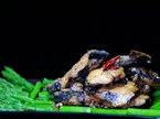 一手美食:造型别致的烧鲅鱼