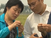 微调查：如何保障工伤职工的权益？