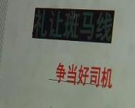 礼让斑马线：“车贴”新鲜出炉