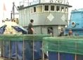 休渔啦 还能吃到啥海鲜