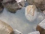青岛迎及时雨 强对流天气难解旱情