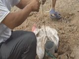 啤酒街激情开街 欢聚市北，嗨啤一夏