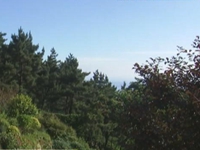 微调查：说说夏日休闲好去处