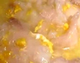 绝对美味：美味好吃的滑蛋鱼片