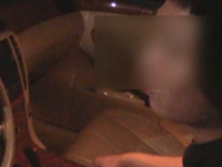 微调查：抱狗上公交，你怎么看？