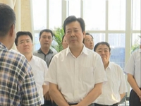 导视