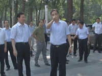 导视