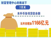 导视