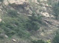 细雨濛濛中的灵山岛奇景